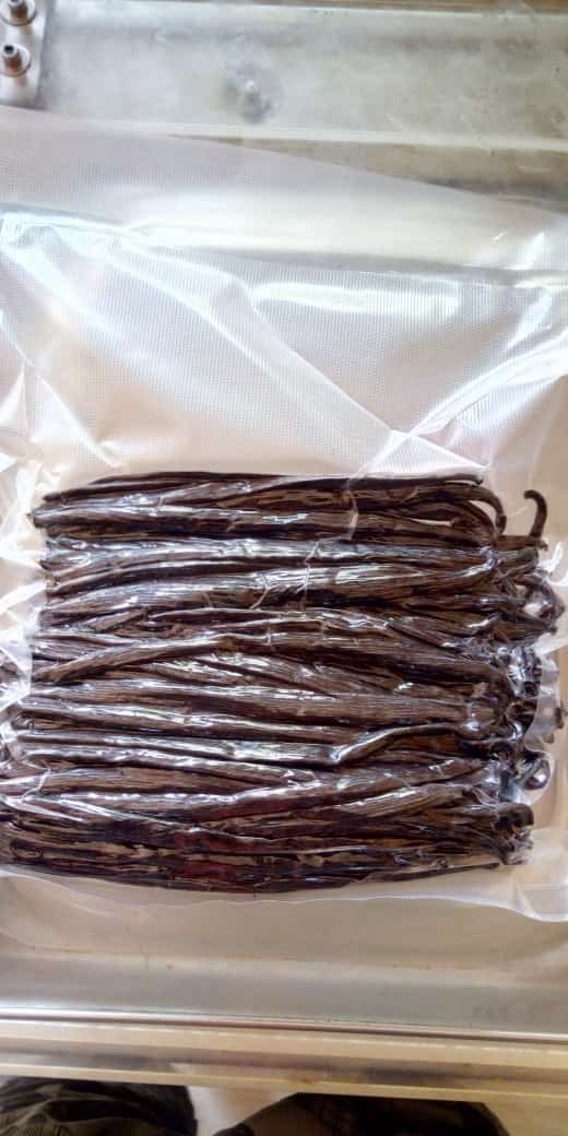 Cured vanilla beans