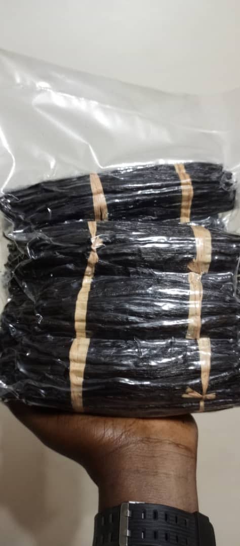 Bundle of cured vanilla beans